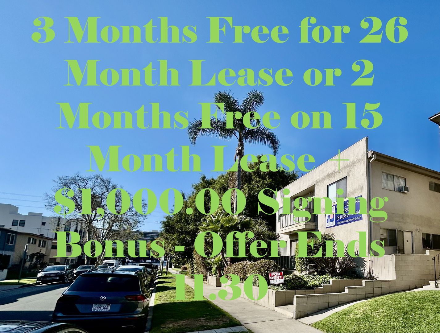 1115 Glenville Dr - Los Angeles - California - 2 bed, 1.5 bath rental property