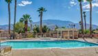 1292 Sunflower Circle N - Palm Springs - California - 1 bed, 1 bath rental property