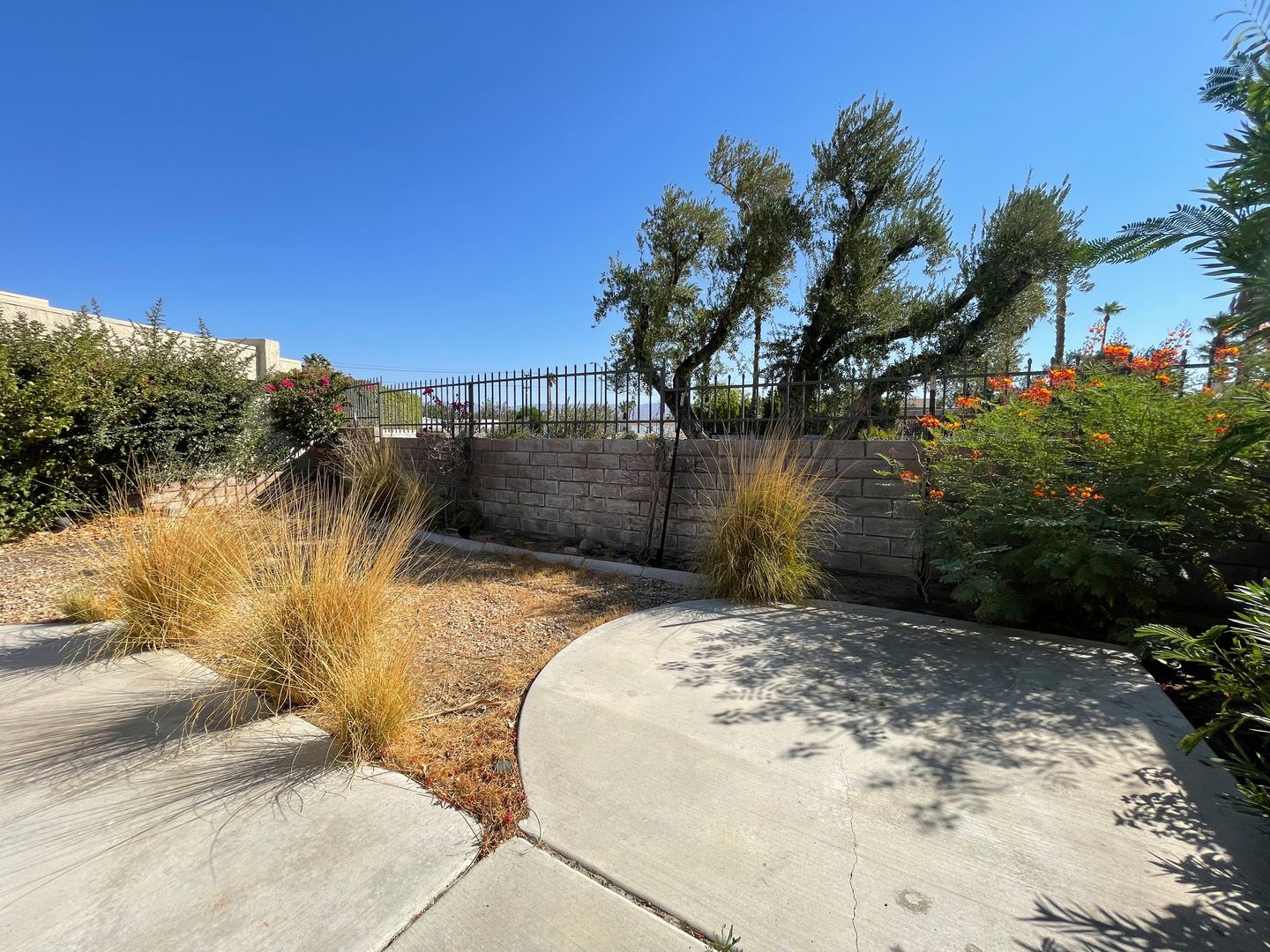 1292 Sunflower Circle N - Palm Springs - California - 1 bed, 1 bath rental property