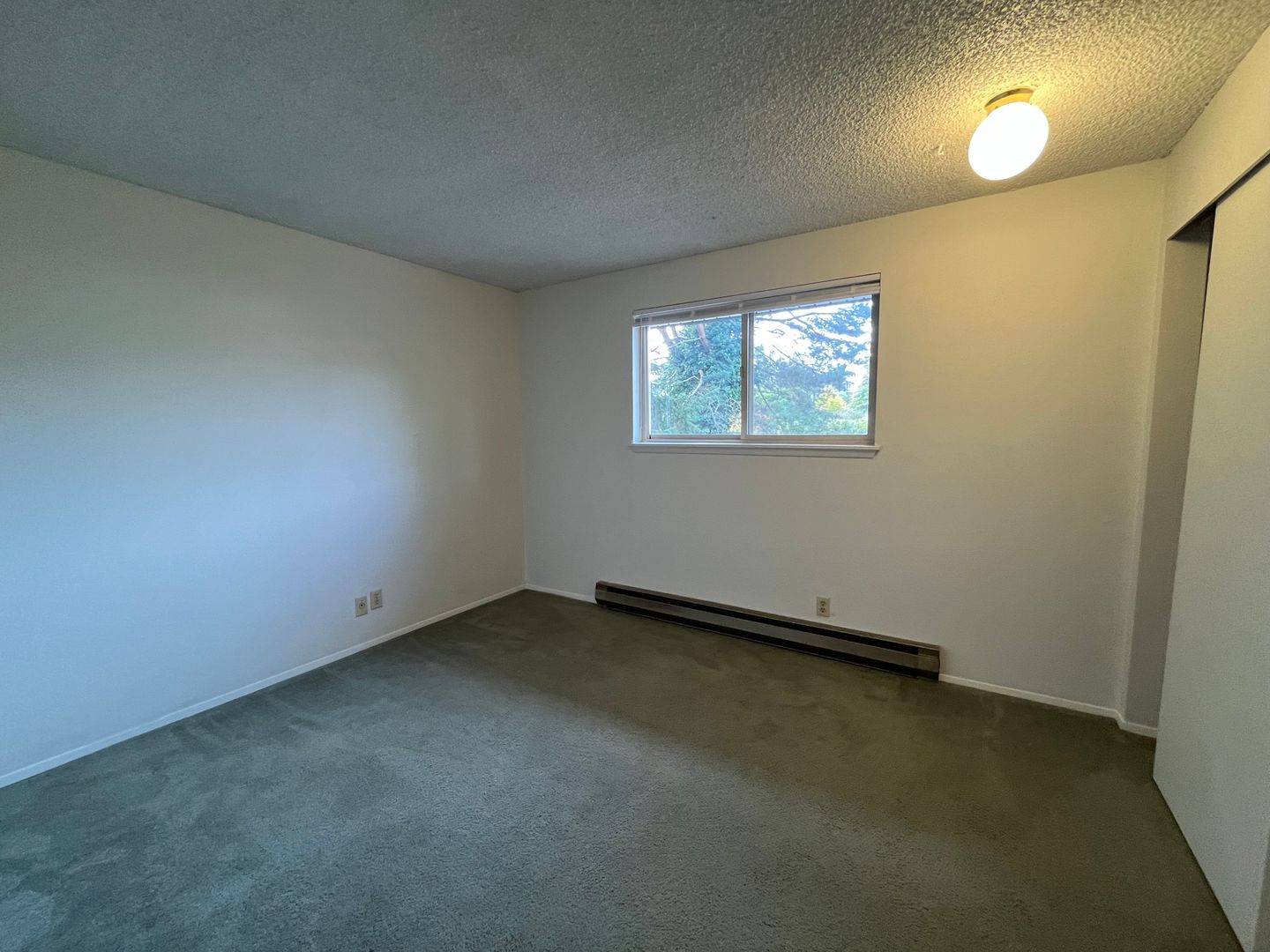 1315 21st St. - # 4 - Bellingham - Washington - 2 bed, 1 bath rental property