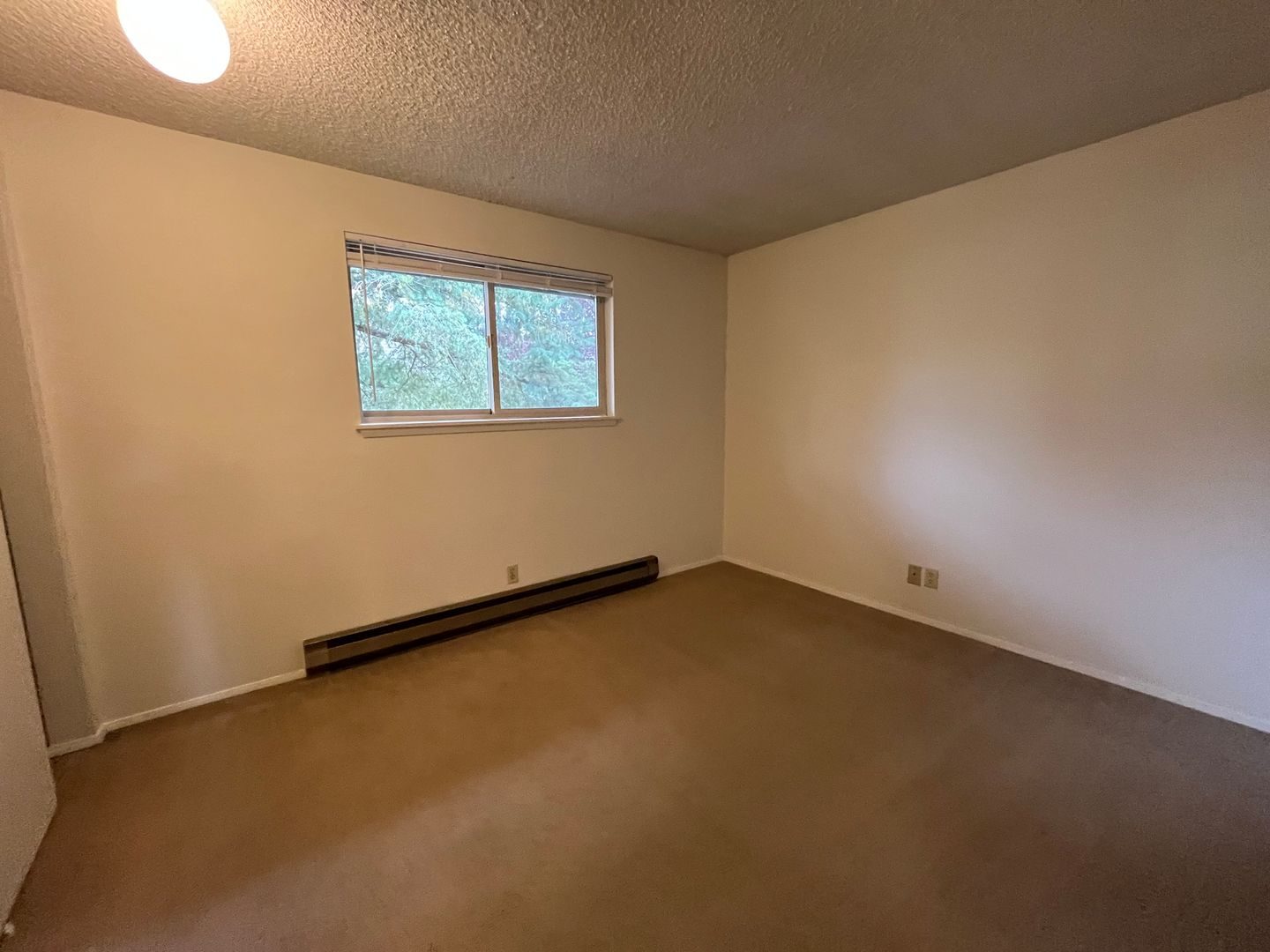 1315 21st St. - # 4 - Bellingham - Washington - 2 bed, 1 bath rental property