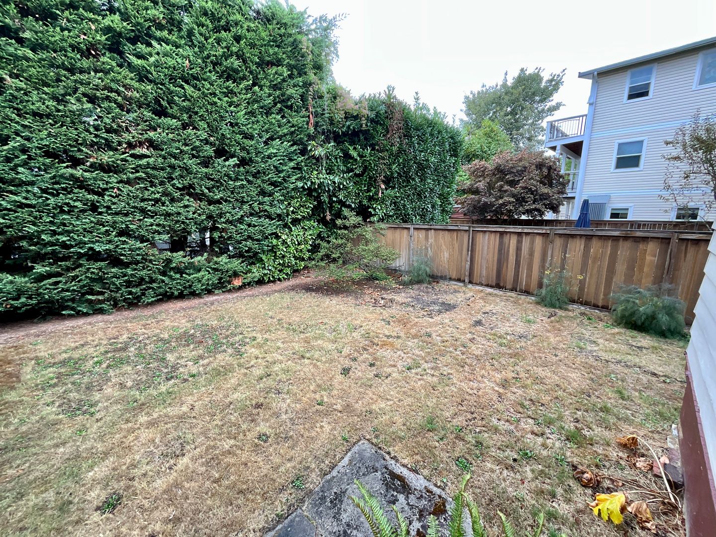 1425 32nd Ave S - Seattle - Washington - 3 bed, 2 bath rental property