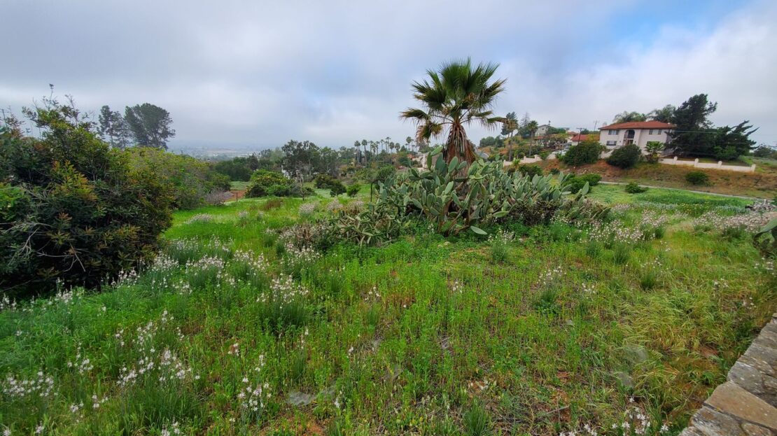 1835 Elevado Road - Vista - California - 3 bed, 2 bath rental property