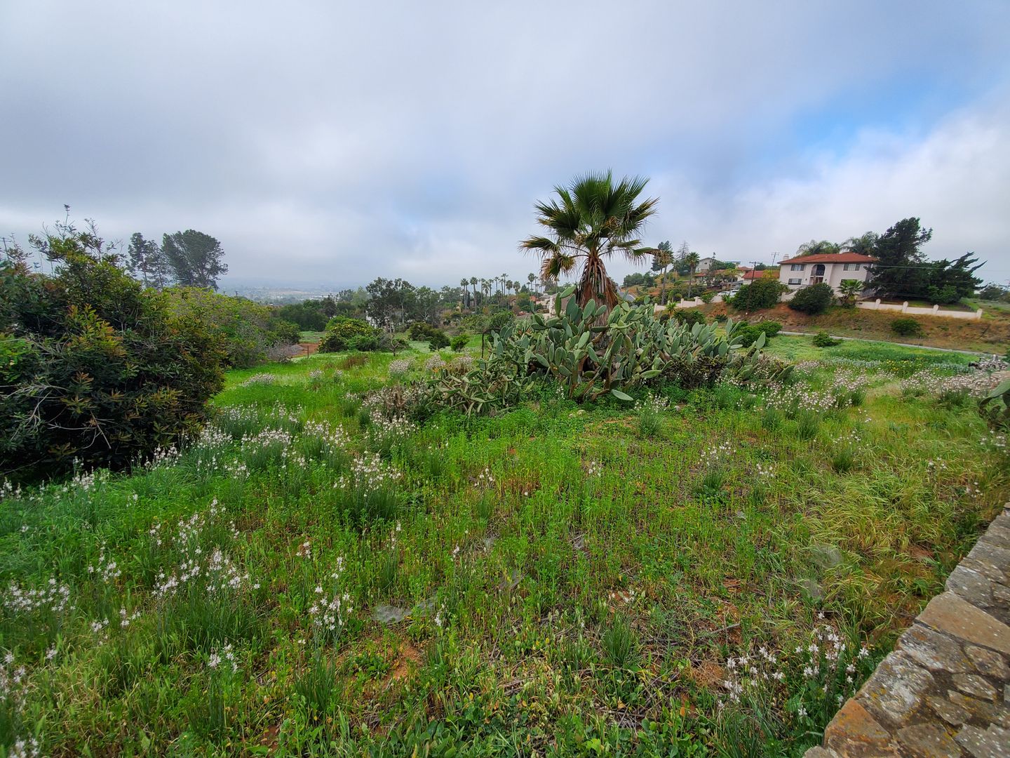 1835 Elevado Road - Vista - California - 3 bed, 2 bath rental property