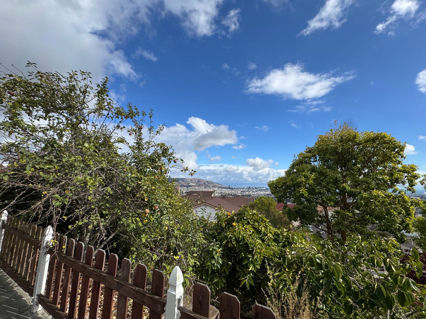 19 Summit Ct - South San Francisco - California - 4 bed, 3 bath rental property