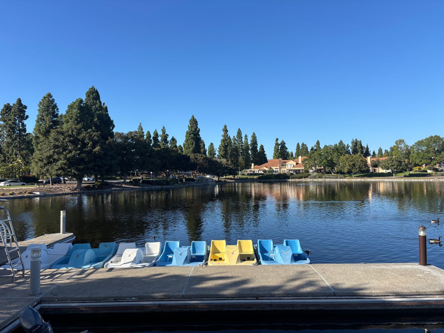 1971 Wildbrook place - Chula Vista - California - 3 bed, 2.5 bath rental property