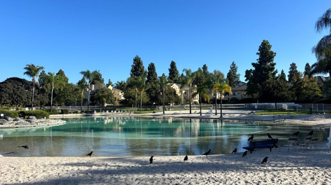 1971 Wildbrook place - Chula Vista - California - 3 bed, 2.5 bath rental property