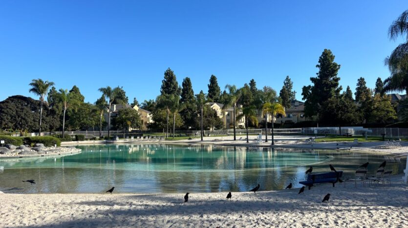 1971 Wildbrook place - Chula Vista - California - 3 bed, 2.5 bath rental property