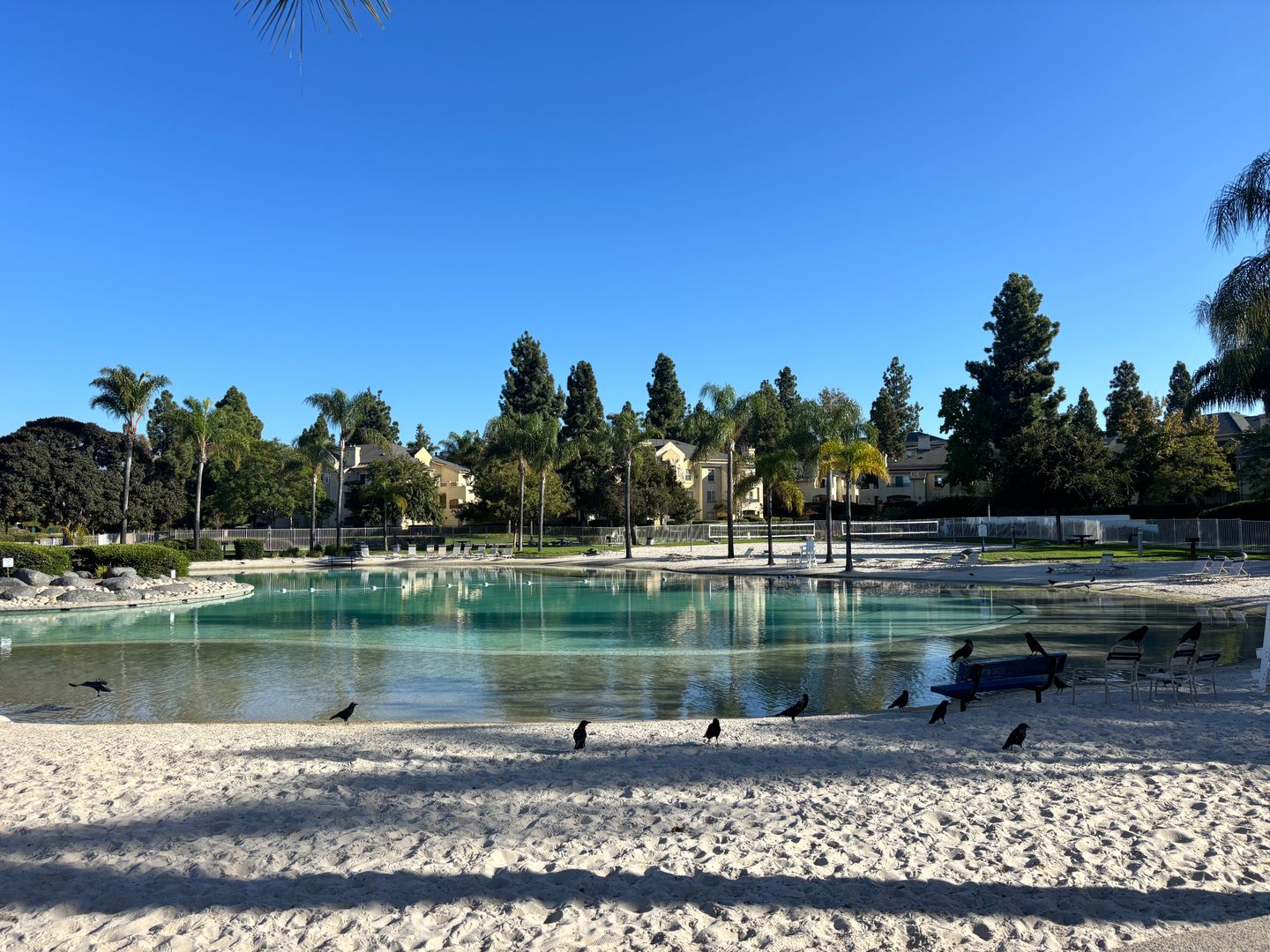 1971 Wildbrook place - Chula Vista - California - 3 bed, 2.5 bath rental property