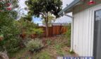 2314 Felt St. Unit A  - Santa Cruz - California - 2 bed, 1 bath rental property