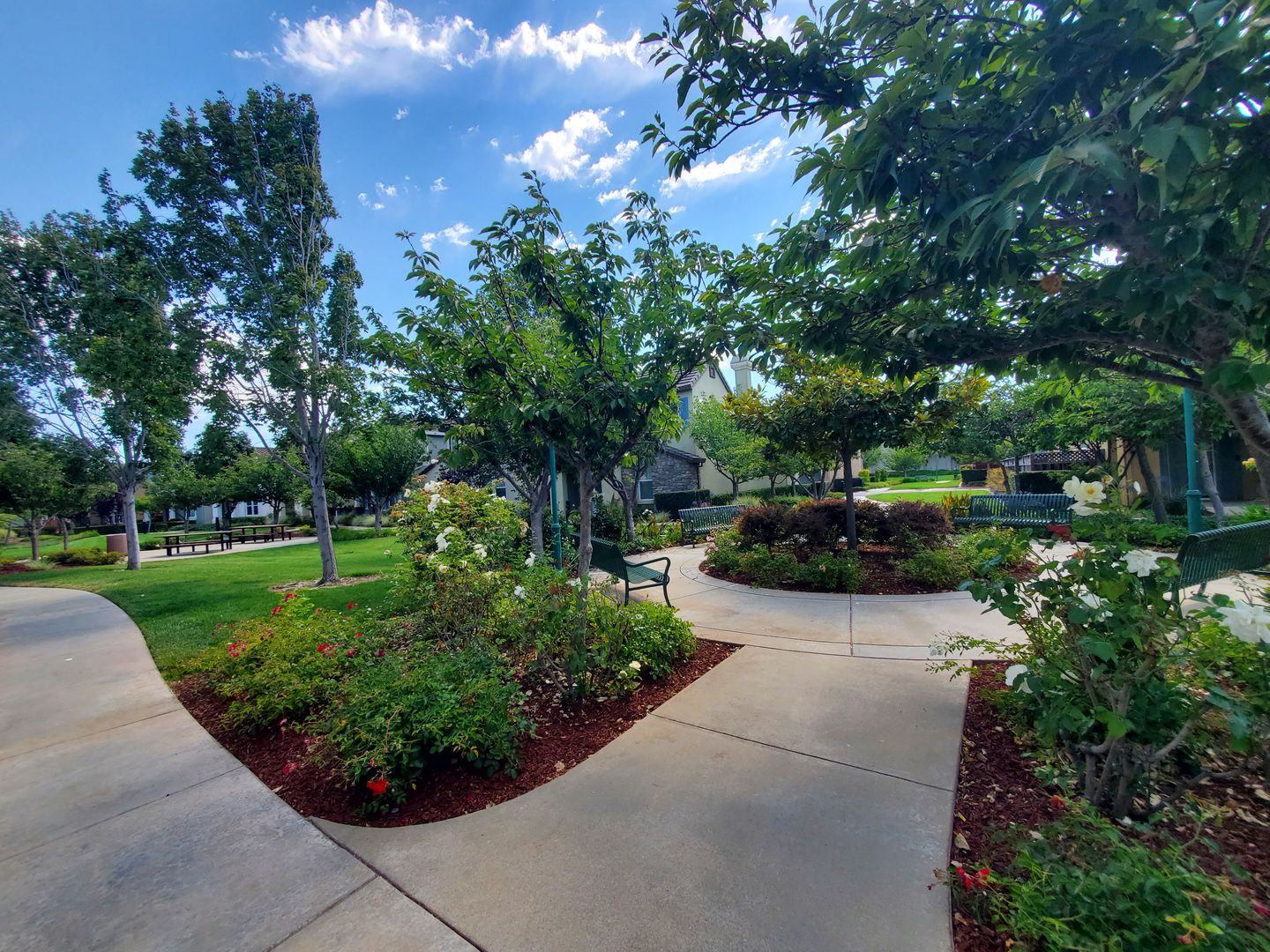 28563 Starboard Ln - Hayward - California - 3 bed, 2.5 bath rental property