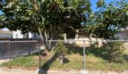 2863 Coolidge Ave   1/2 - Los Angeles - California - 1 bath rental property
