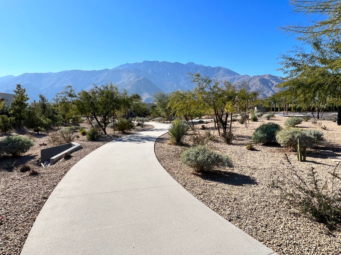 3609 Ambassador Drive - Palm Springs - California - 3 bed, 2.5 bath rental property