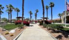 3624 Cliffrose Trail - Palm Springs - California - 3 bed, 2 bath rental property
