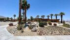 3624 Cliffrose Trail - Palm Springs - California - 3 bed, 2 bath rental property