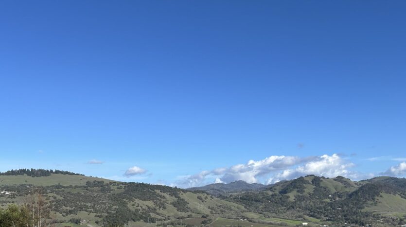 3904 Park Gardens Drive - Santa Rosa - California - 4 bed, 3 bath rental property