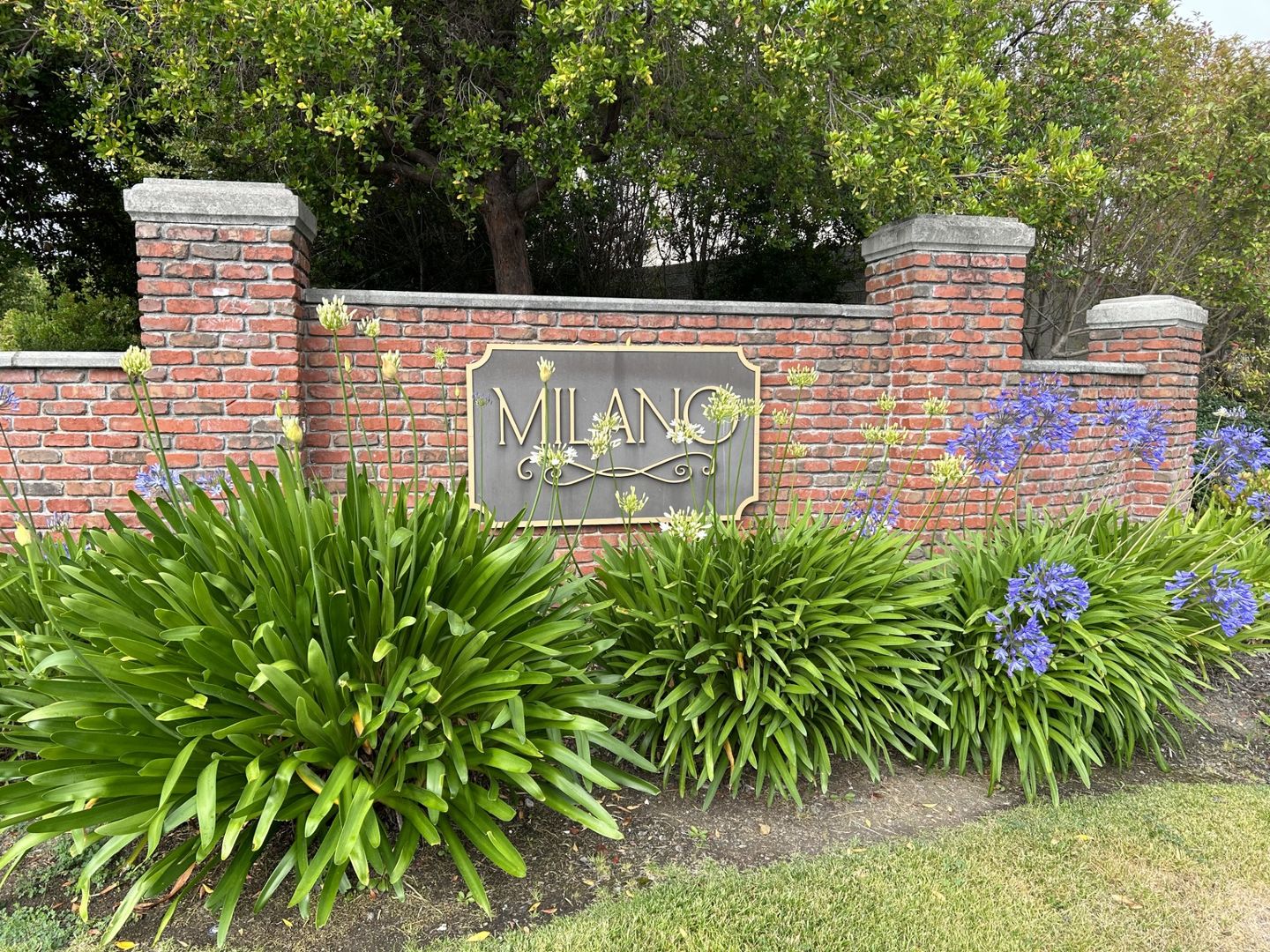 3906 Glacier Court - Vallejo - California - 4 bed, 3.5 bath rental property