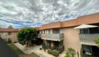 400 N Sunrise Apt 270 - Palm Springs - California - 2 bed, 2 bath rental property