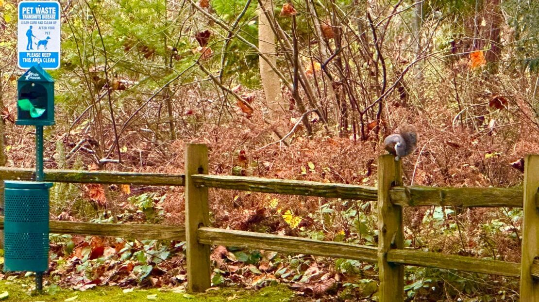 4018 Northwest Avenue - Bellingham - Washington - 2 bed, 2 bath rental property