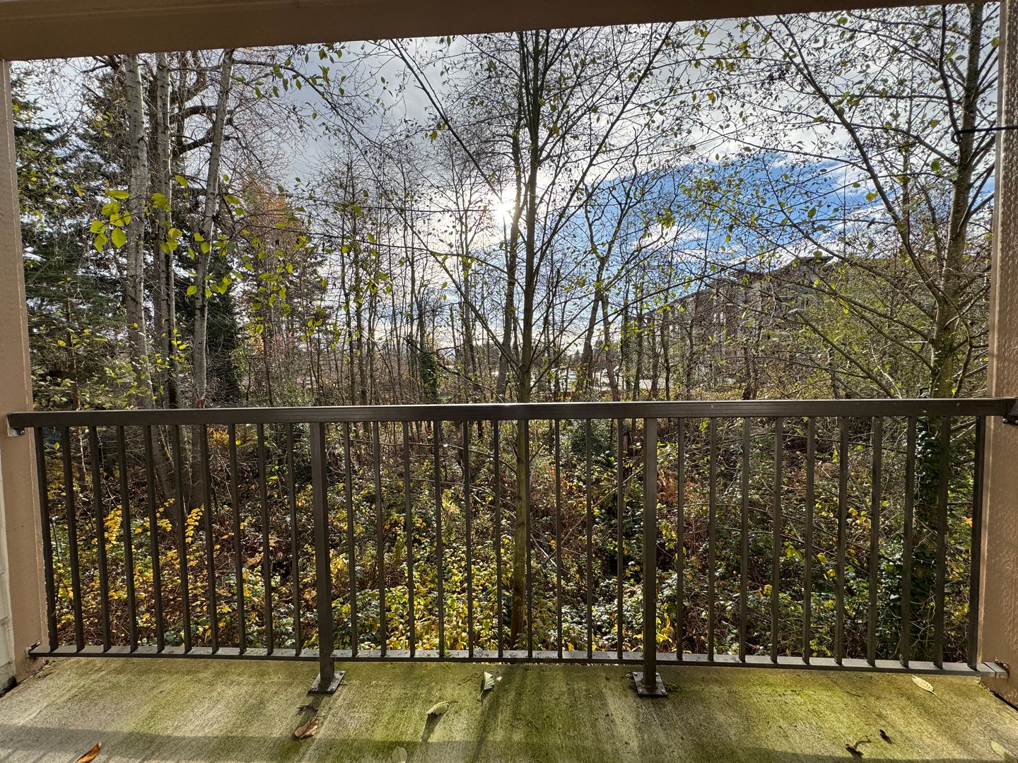 4018 Northwest Avenue - Bellingham - Washington - 2 bed, 1.5 bath rental property