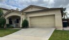 43063 Teramo St - Temecula - California - 3 bed, 2 bath rental property
