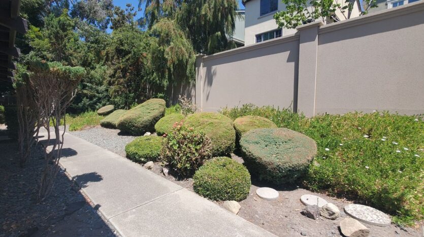 43160 Starr St - Fremont - California - 3 bed, 2.5 bath rental property