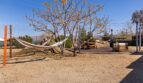 4835 Avenida La Flora Desierta  - Joshua Tree - California - 3 bed, 2 bath rental property