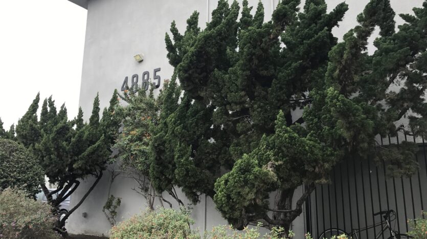 4885 Cole Street #9 - San Diego - California - 3 bed, 1.5 bath rental property