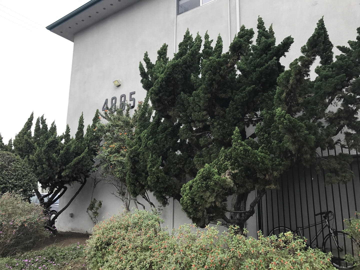 4885 Cole Street #9 - San Diego - California - 3 bed, 1.5 bath rental property