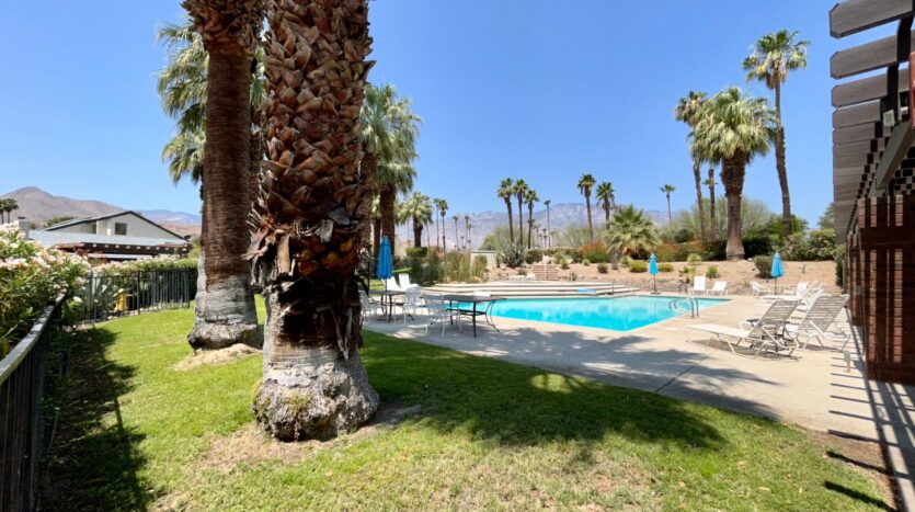 49 Portola Drive  - Palm Springs - California - 3 bed, 2 bath rental property