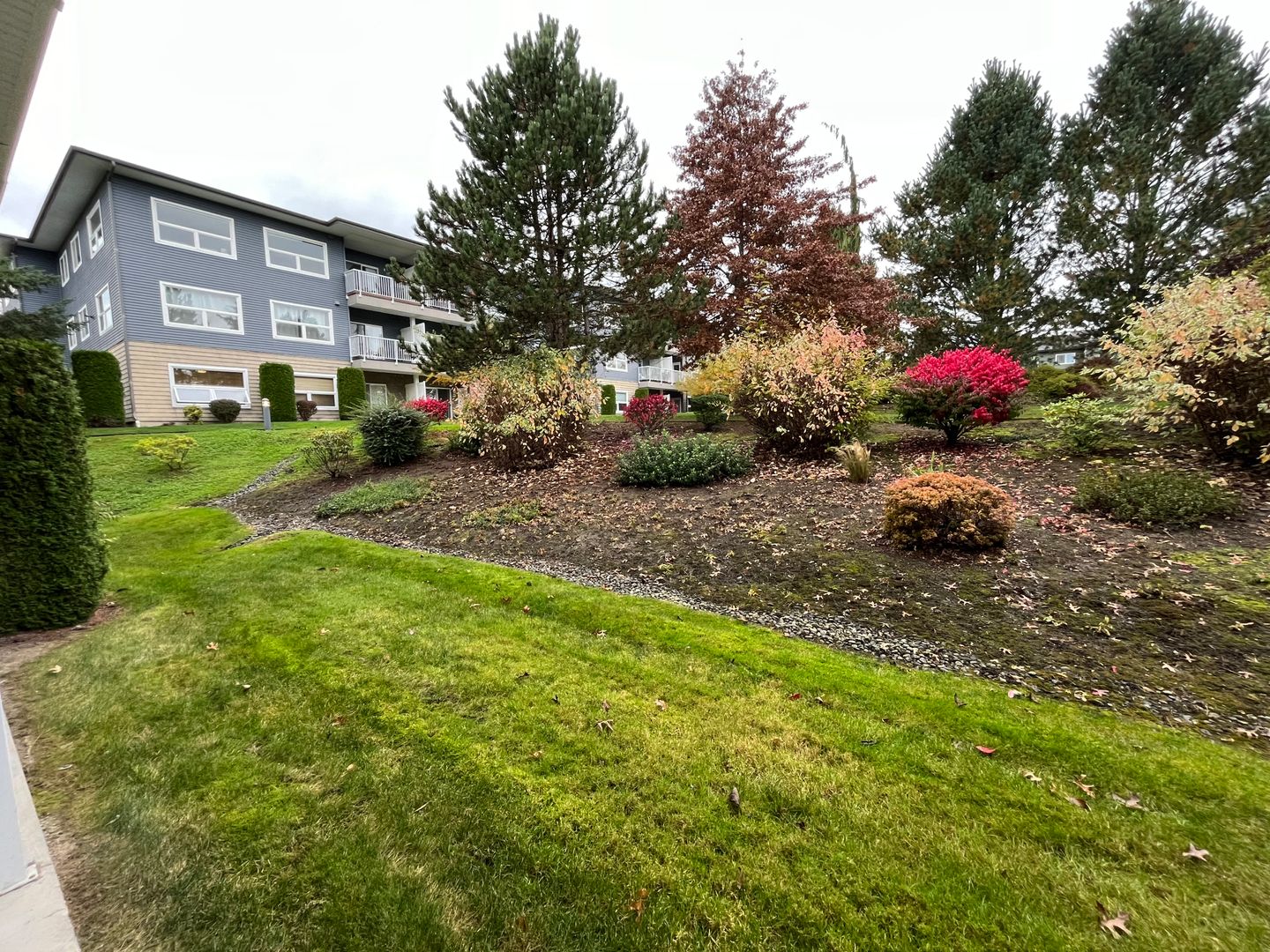 512 Darby Drive #103 - Bellingham - Washington - 2 bed, 2 bath rental property