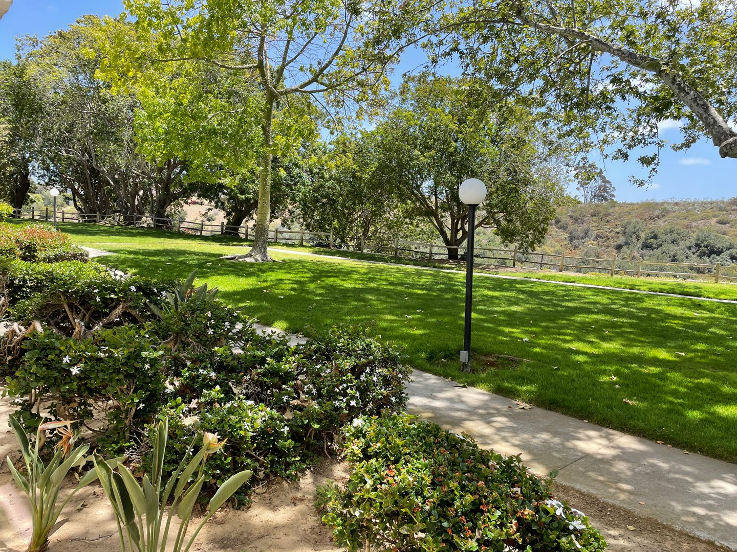 6331 Dinamica Way - San Diego - California - 3 bed, 1.5 bath rental property