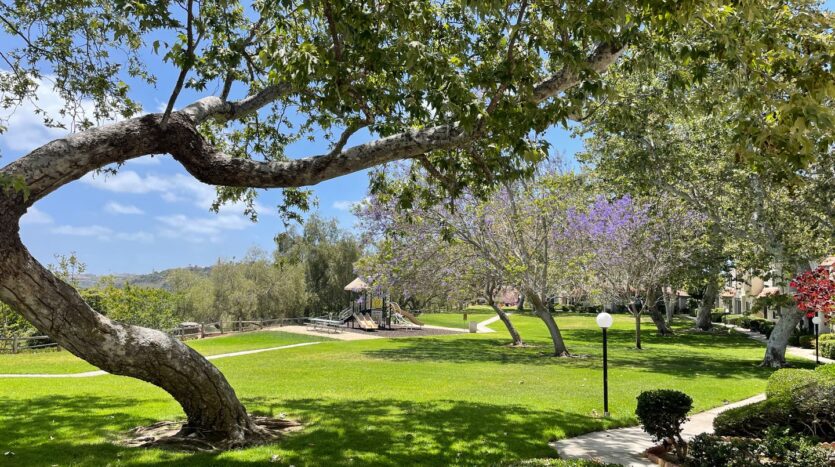 6331 Dinamica Way - San Diego - California - 3 bed, 1.5 bath rental property