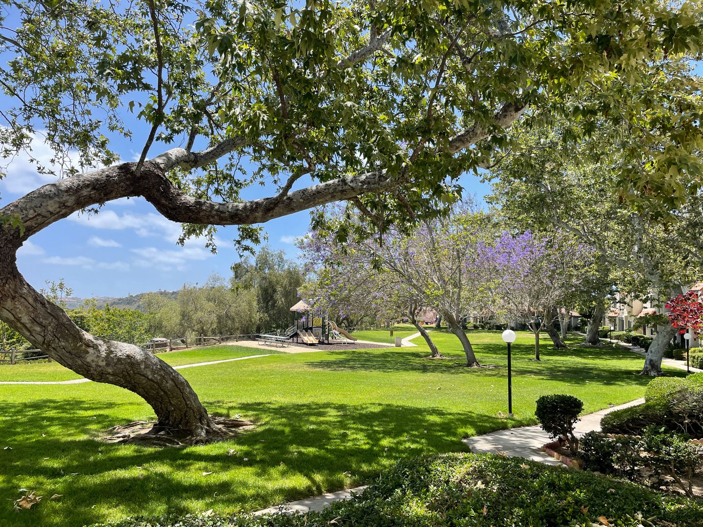 6331 Dinamica Way - San Diego - California - 3 bed, 1.5 bath rental property