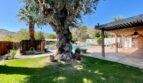 67865 Carroll Drive - Cathedral City - California - 3 bed, 3 bath rental property