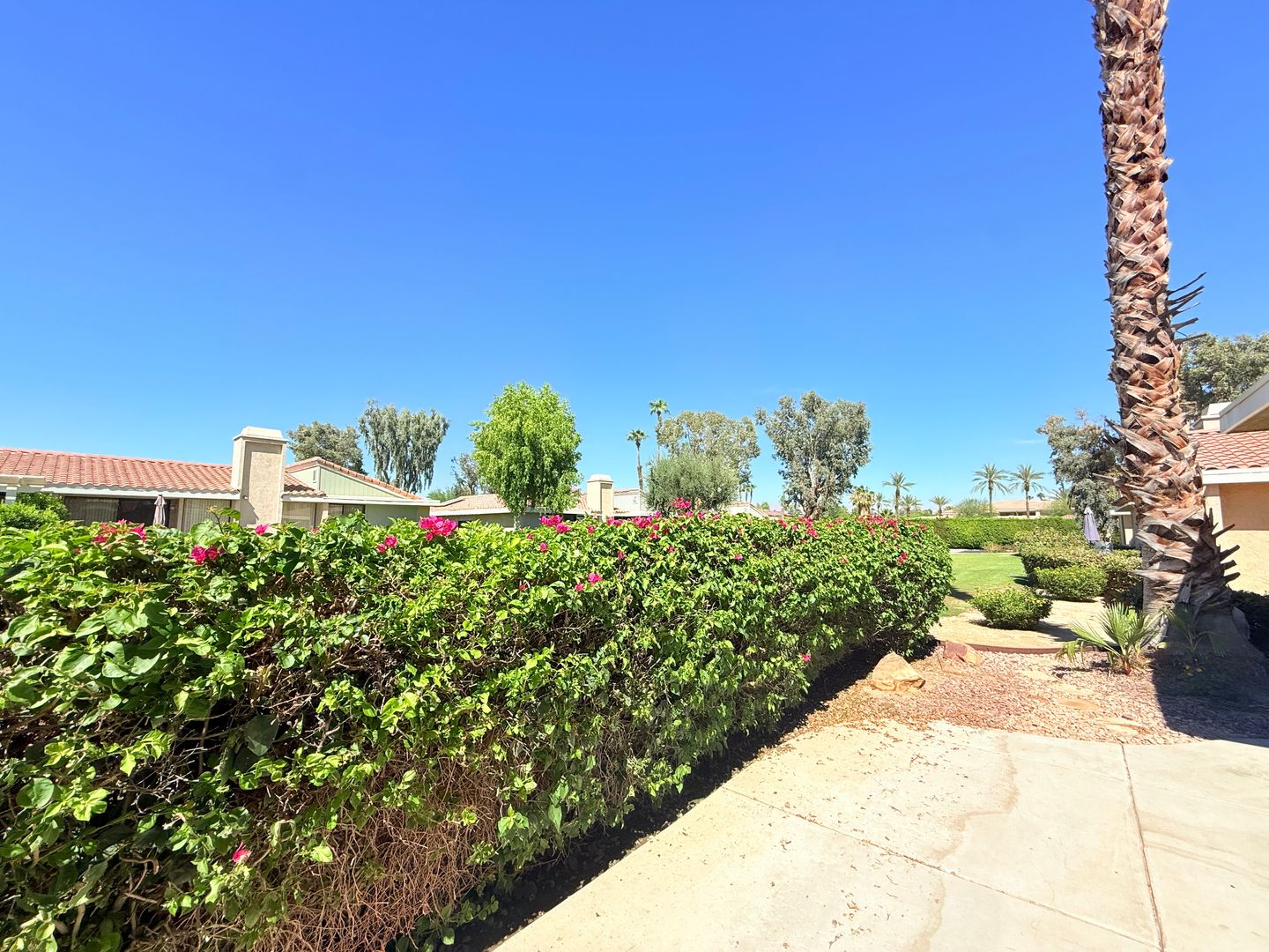 72462 Doheney Dr - Rancho Mirage - California - 3 bed, 3 bath rental property