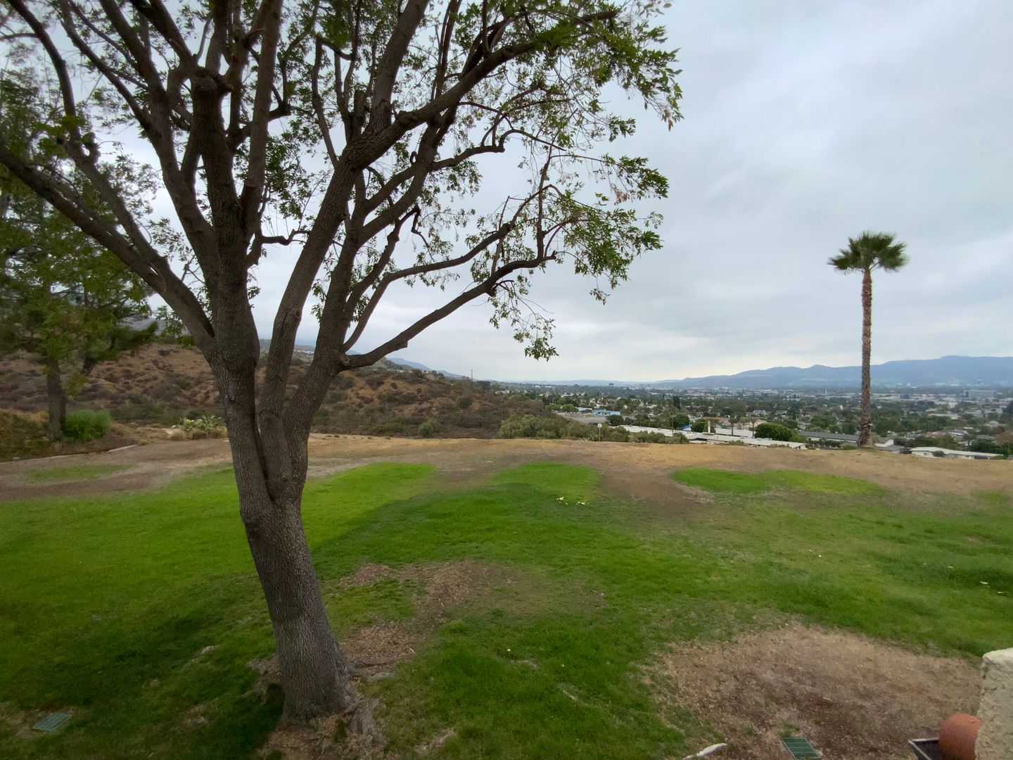 7814 Via Foggia - Burbank - California - 3 bed, 3 bath rental property