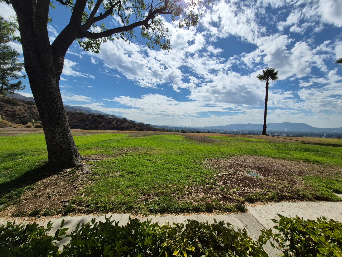 7814 Via Foggia - Burbank - California - 3 bed, 3 bath rental property