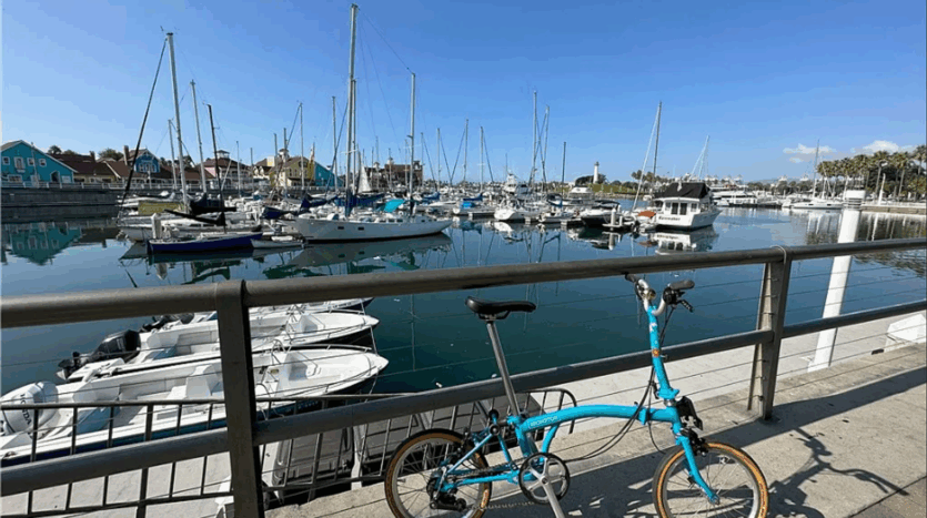 835 Locust Avenue Unit 109 - Long Beach - California - 1 bed, 1 bath rental property