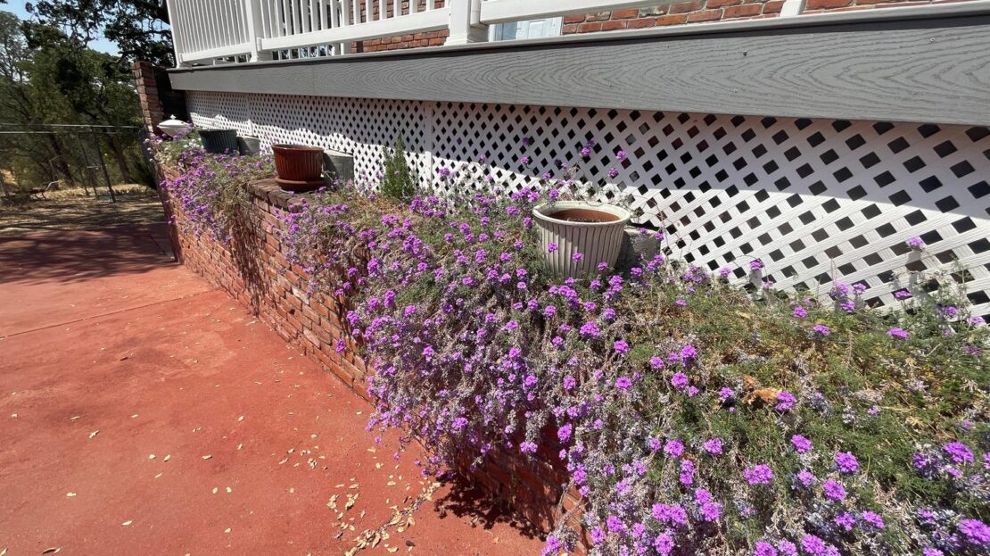 8464 Owens Way - Valley Springs - California - 2 bed, 2 bath rental property