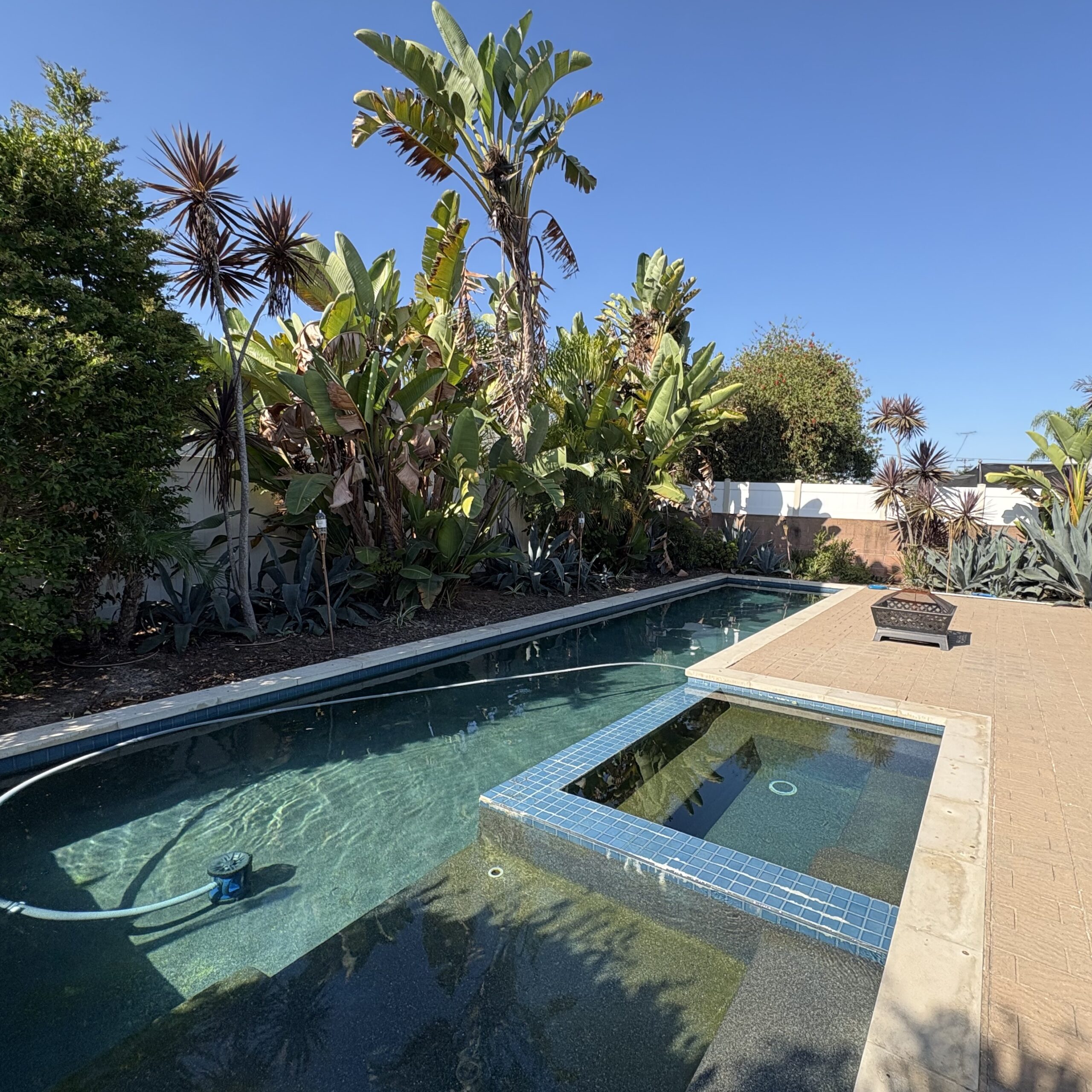 Local Property Experts