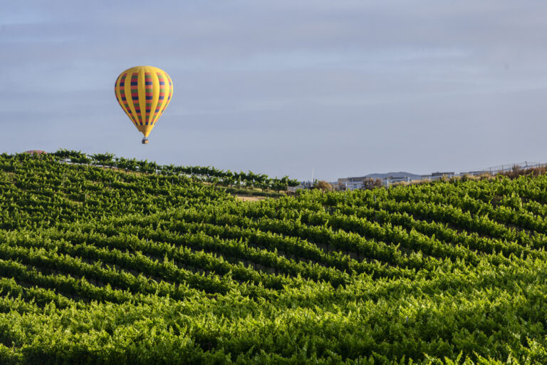 How Much Does Property Management Cost in Temecula? (2026)