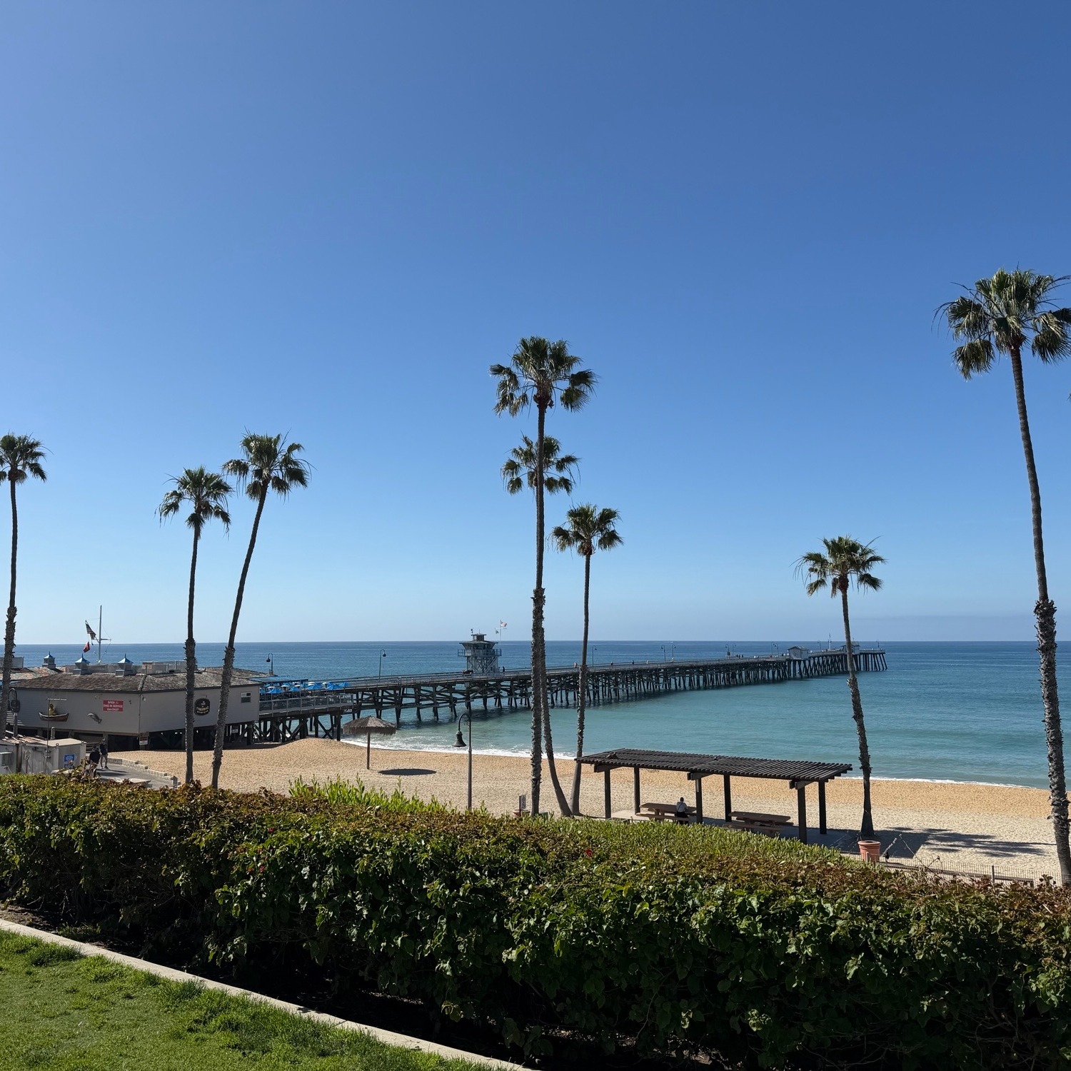 Local Property Experts