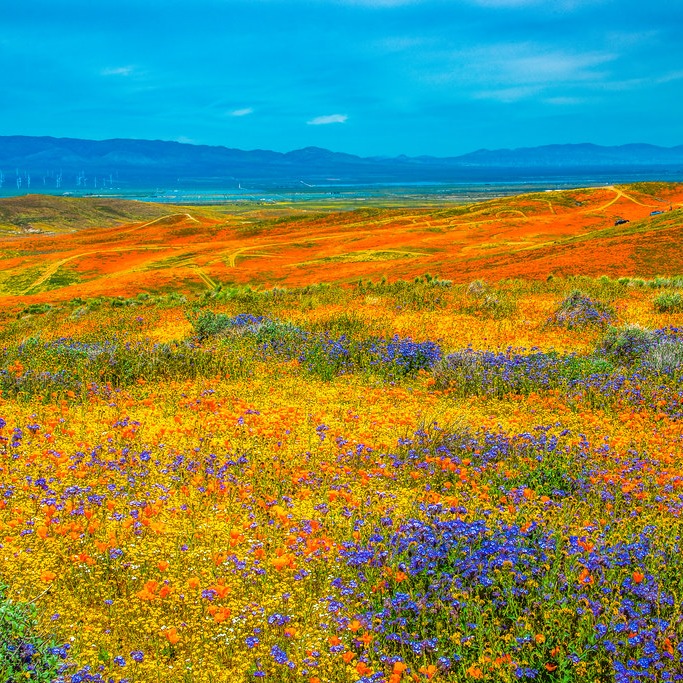 Experienced Property Management Services Near Antelope Valley