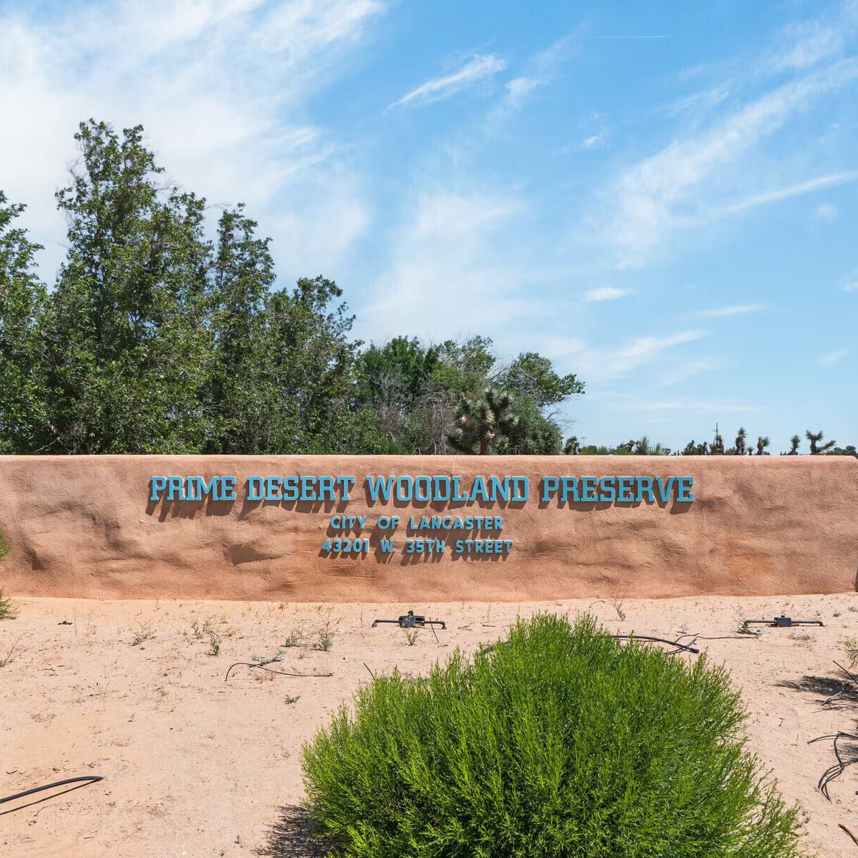 What Makes Palmdale Special?