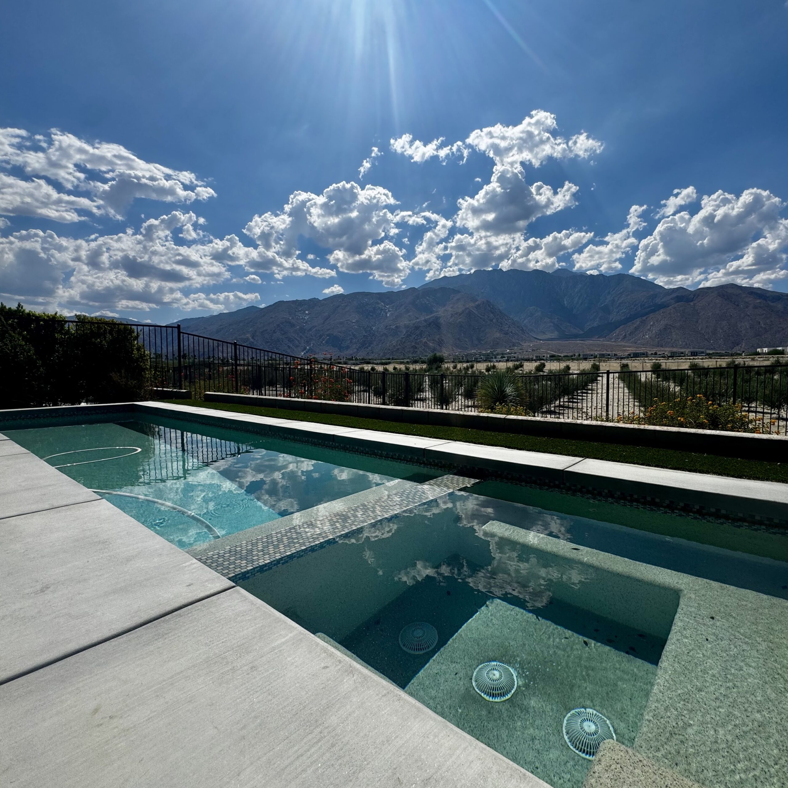 What Makes Palm Springs Special?