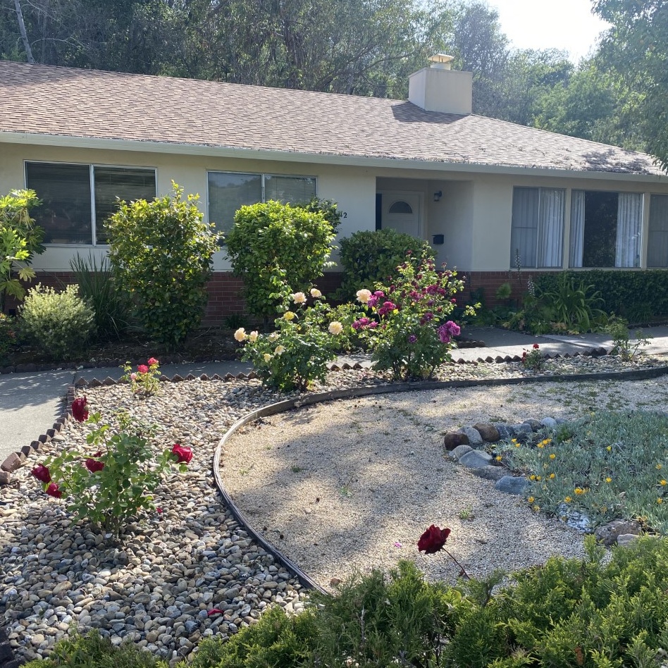 Local Property Experts