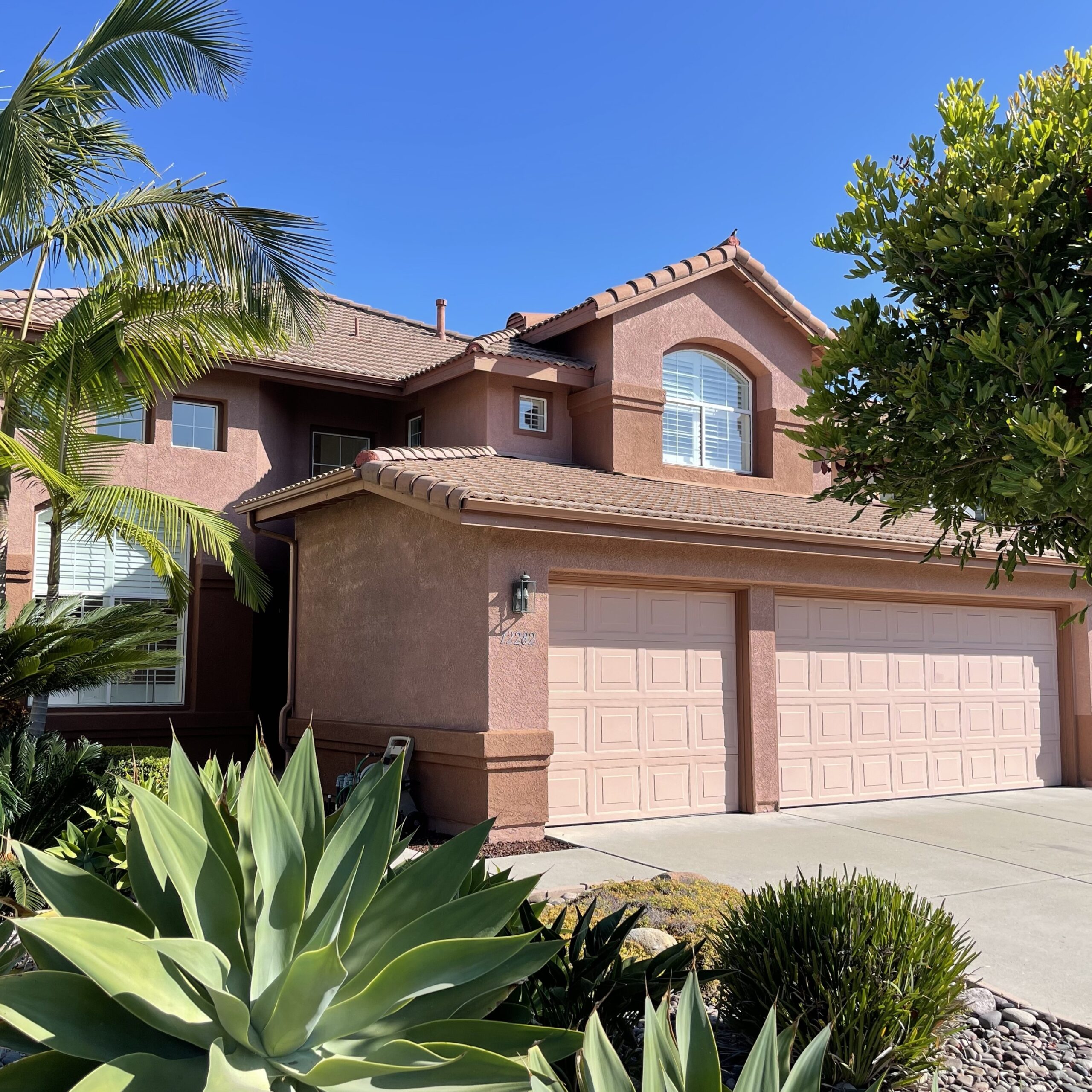 What Makes San Diego Special?