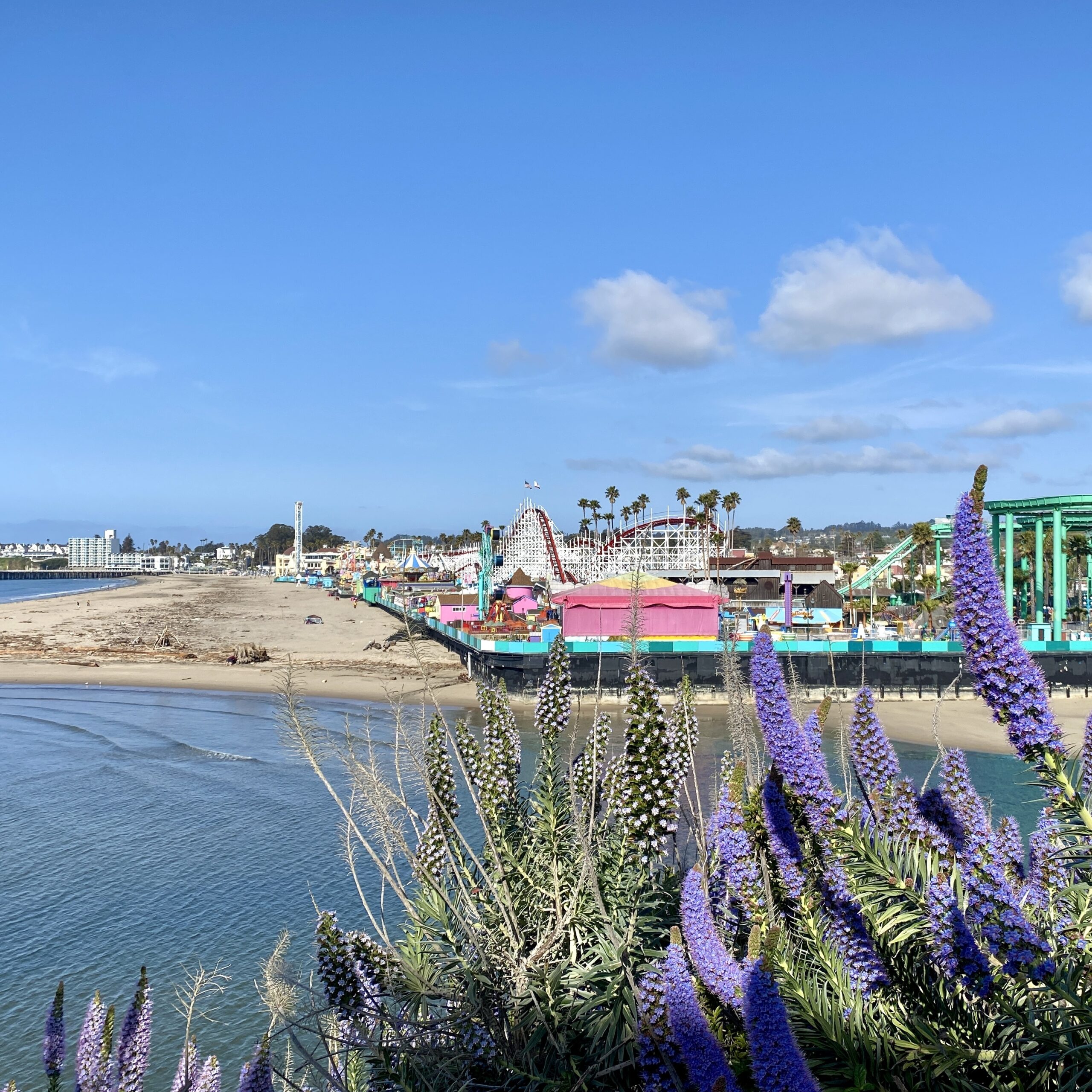 What Makes Santa Cruz Special?