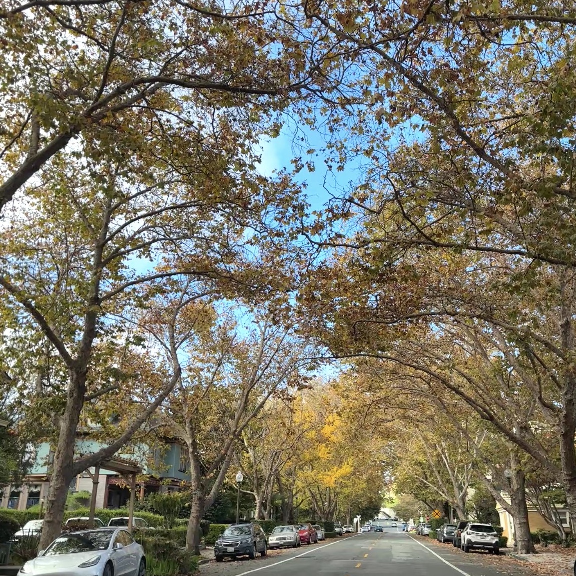 The Neighborhoods Of Santa Cruz